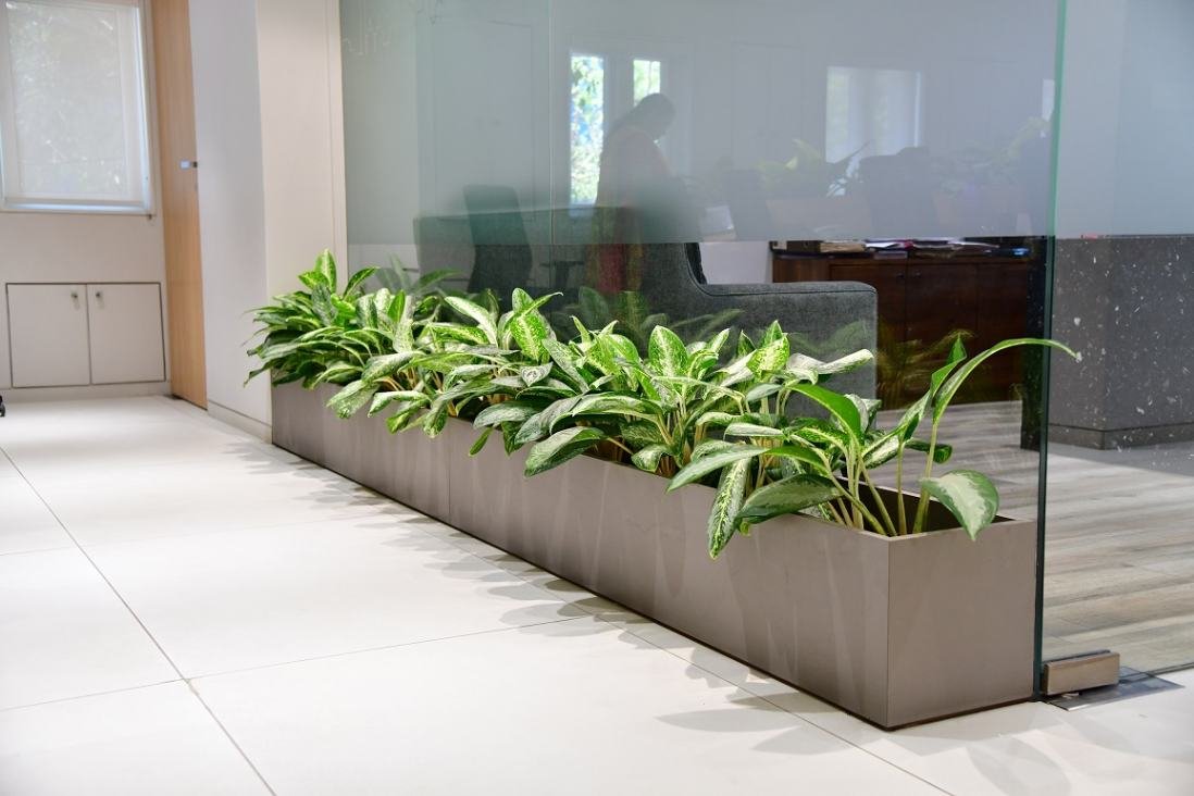 Planters integrated into an indoor space