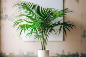 Top 10 Indoor Plants for Indian Homes