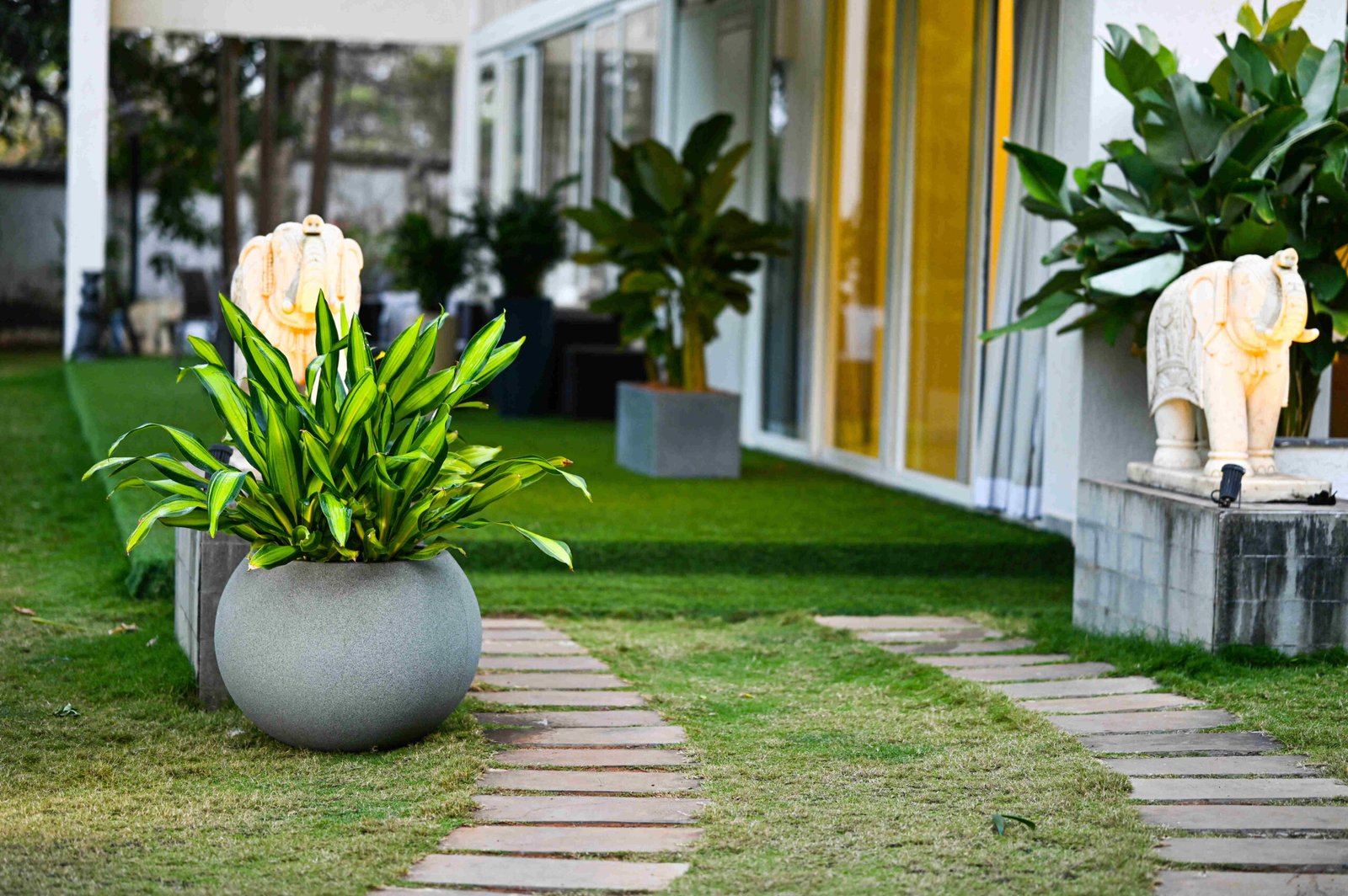 GLOBUS PLANTER