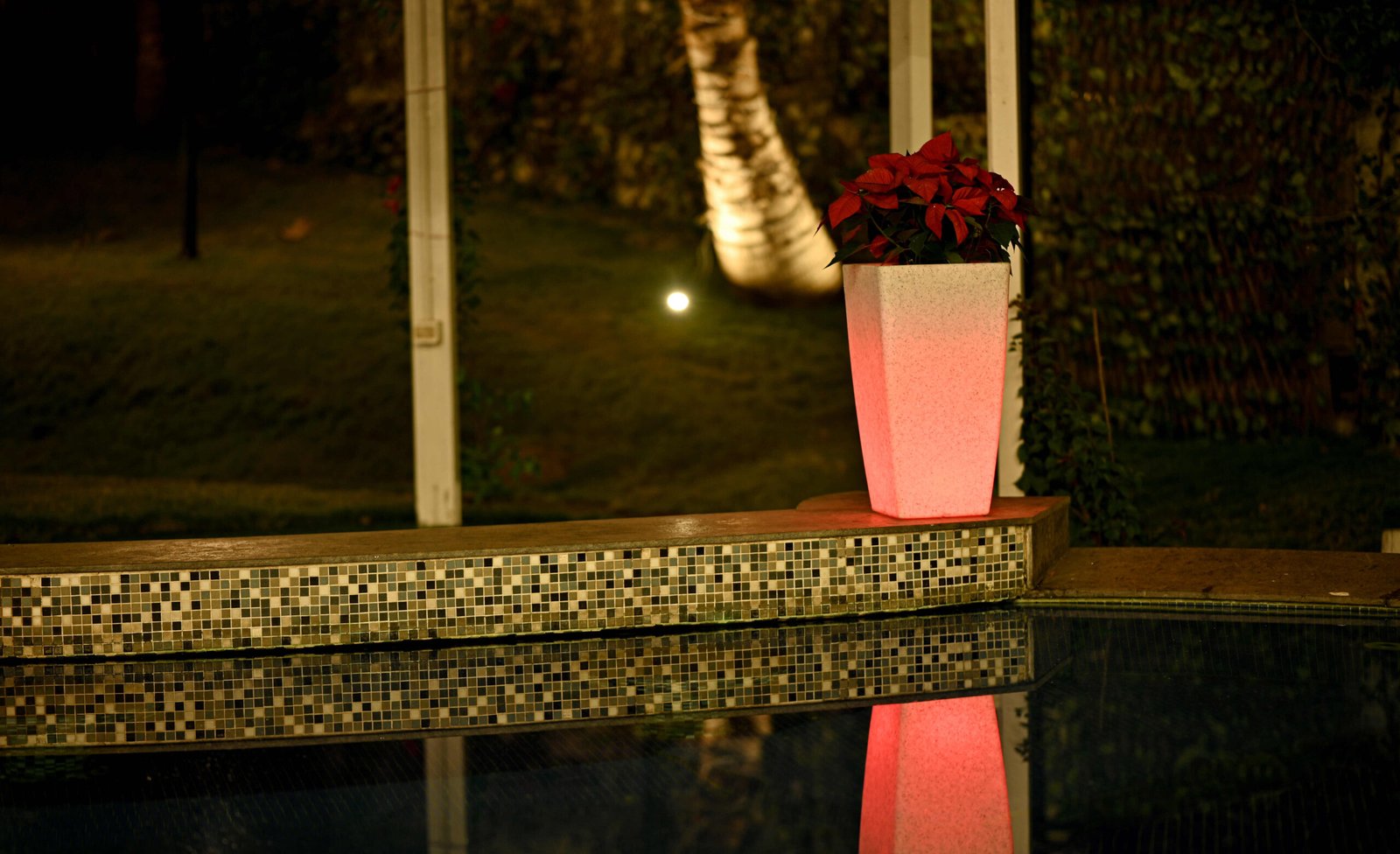 PARIS PLANTERS