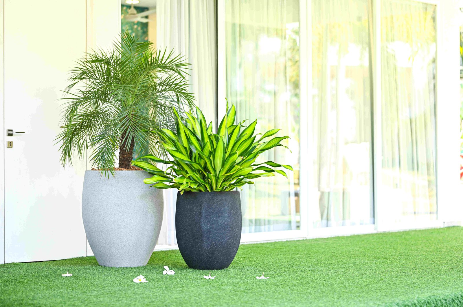 SNORLAX ROUND PLANTER