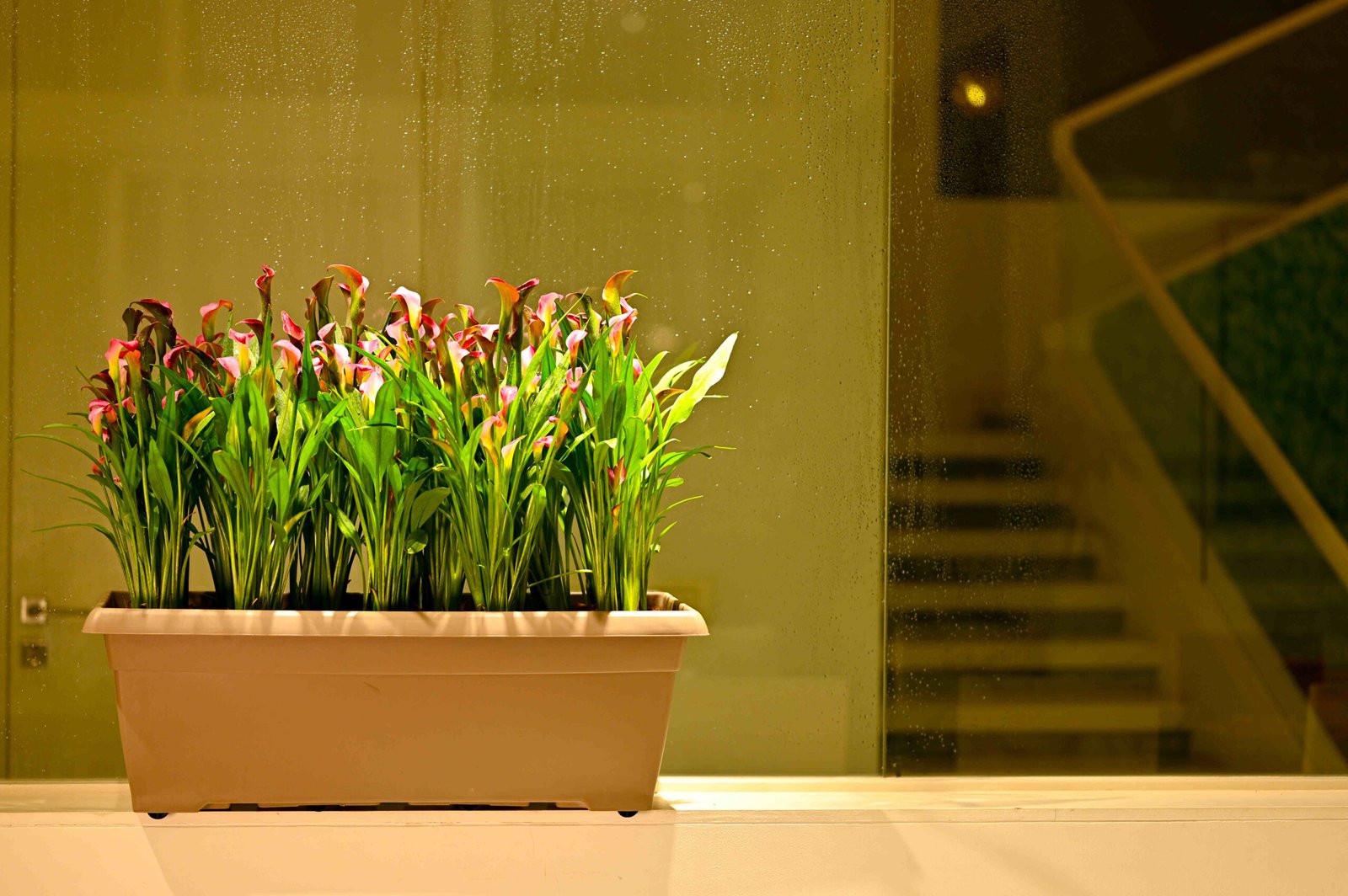 WINDOW PLANTER