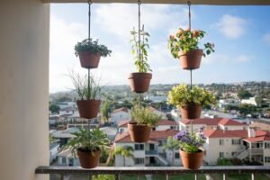 Are Hanging Plants Suitable for Balcony Gardens?