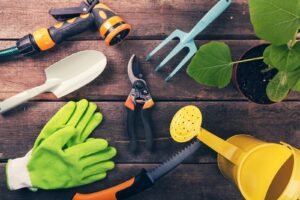 Essential Gardening Tools and How to Use Them Effectively