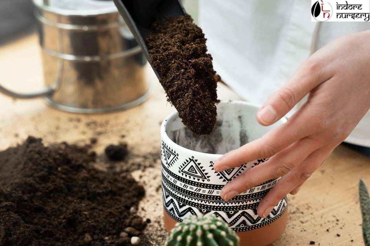 Choosing the right pot