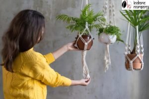 Indoor Care Guide for Hanging Plants