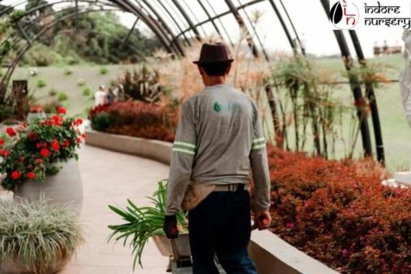 Landscape planting and outdoor greenery