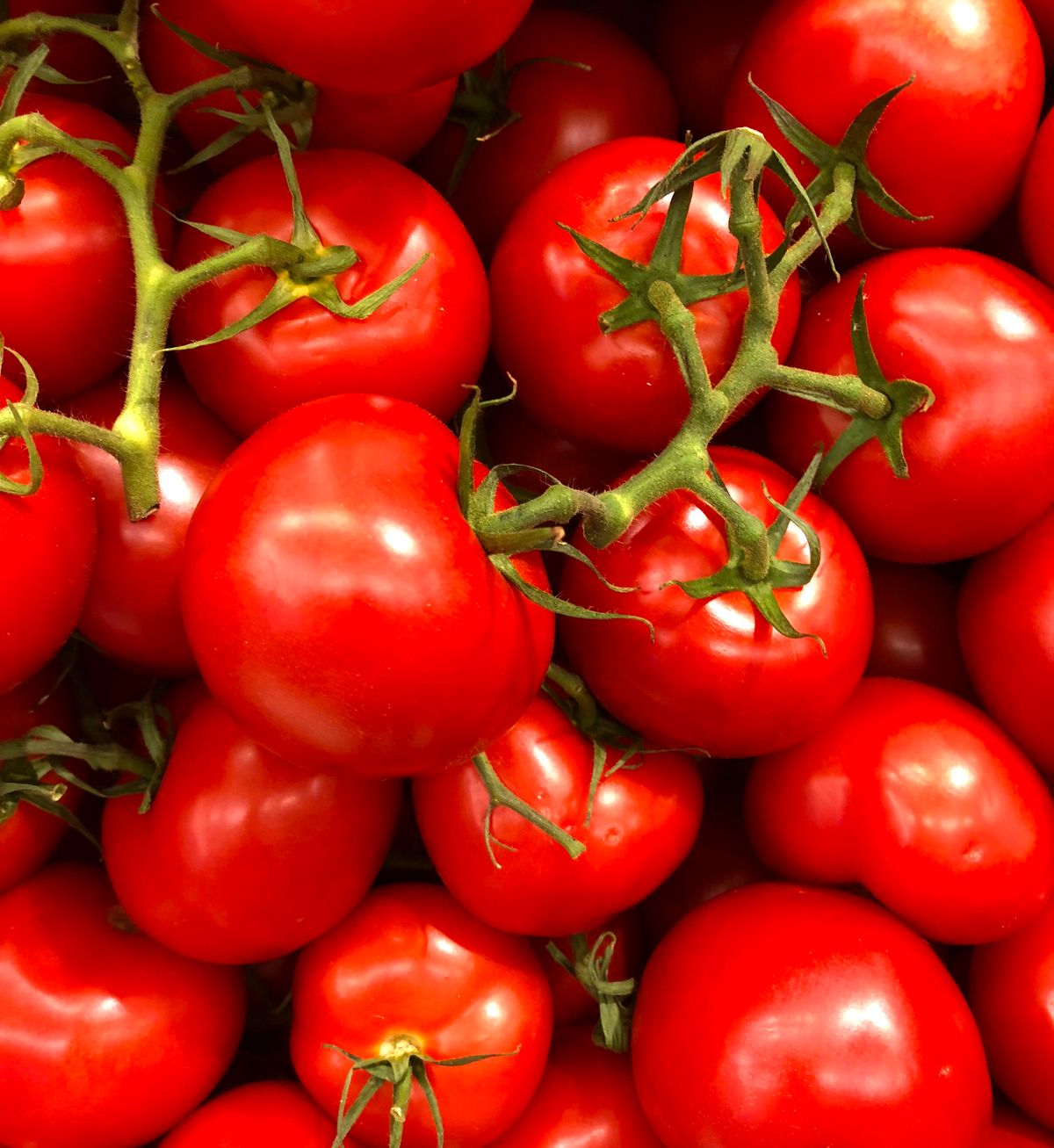 Backyard Gardening Tips: Grow Vegetables and Flowers with Ease
