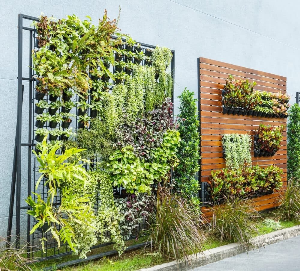 Living wall with mixed greenery